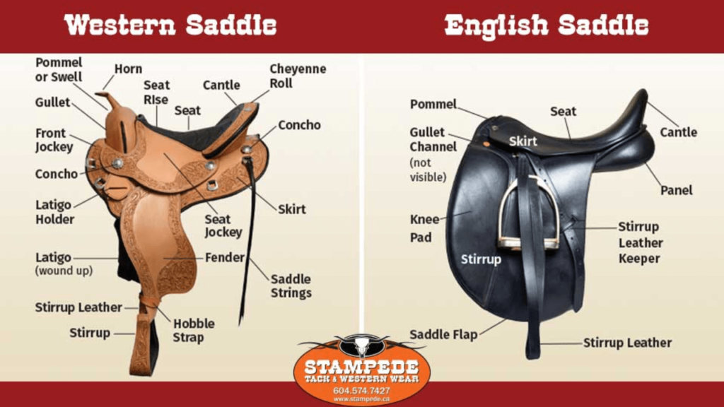 horse saddles